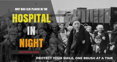 Elie's Hospitalization in Night: A Turning Point in the Holocaust