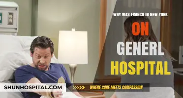 Franco's New York Mystery: Unraveling His General Hospital Visit