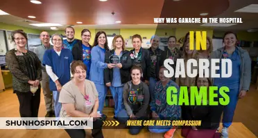 Ganache's Hospitalization in Sacred Games: Unraveling the Mystery Behind the Scene