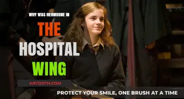 Hospital Wing: Hermione's Recovery and Healing