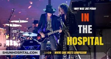 Joe Perry's Health Scare: Hospital Visit Explained