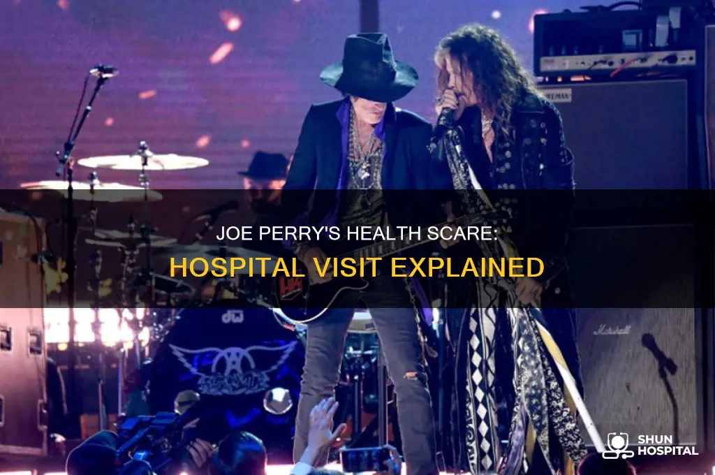 why was joe perry in the hospital