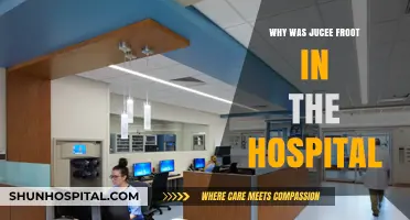 Hospitalization of Jucee Froot: What Happened and Why?