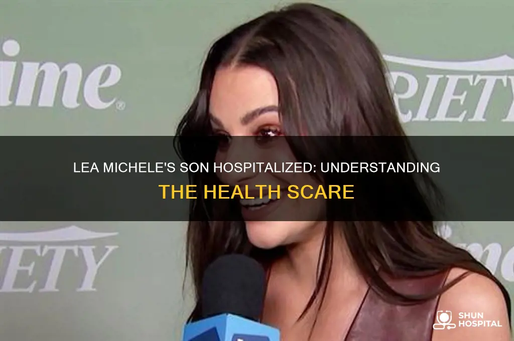 why was lea michele