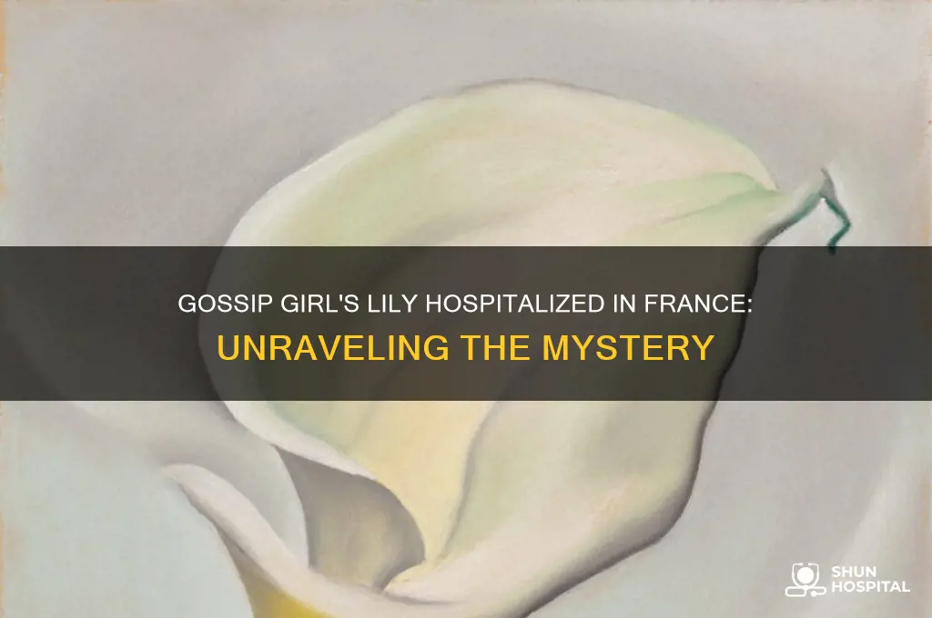 why was lily in hospital in france gossip girl