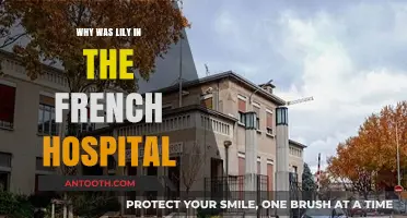 Lily's French Hospital Stay: A Mystery Unveiled