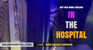Hospitalized Mami Sasazaki: What Really Happened?