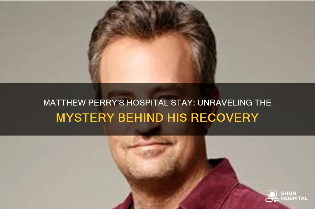 why was matthew perry in the hospital for three months