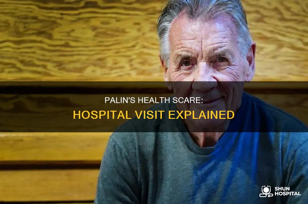 why was micheal palin in the hospital