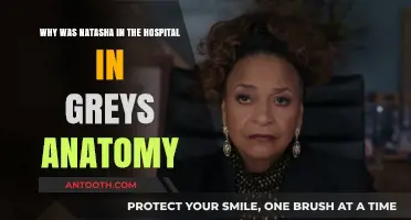 Natasha's Hospitalization in Grey's Anatomy: Unraveling the Emotional Storyline