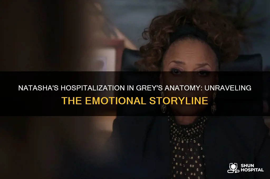 why was natasha in the hospital in greys anatomy