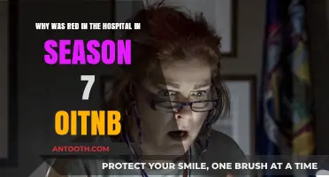 Red's Hospitalization in OITNB Season 7: Unraveling the Mystery