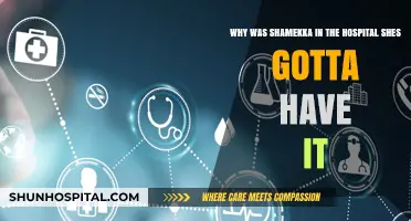 Shamekka's Hospitalization in 'She's Gotta Have It': Unraveling the Mystery