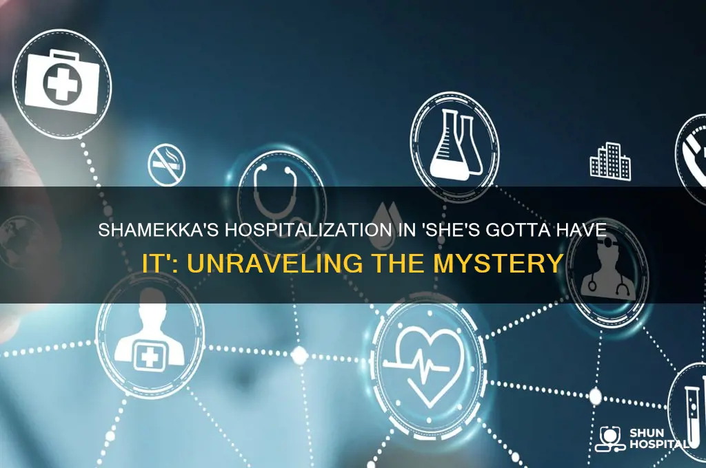 why was shamekka in the hospital shes gotta have it