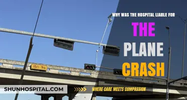 Hospital's Negligence: Unraveling Liability in the Plane Crash Tragedy