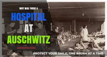 Auschwitz's Hospital: A Dark Medical Experimentation Center