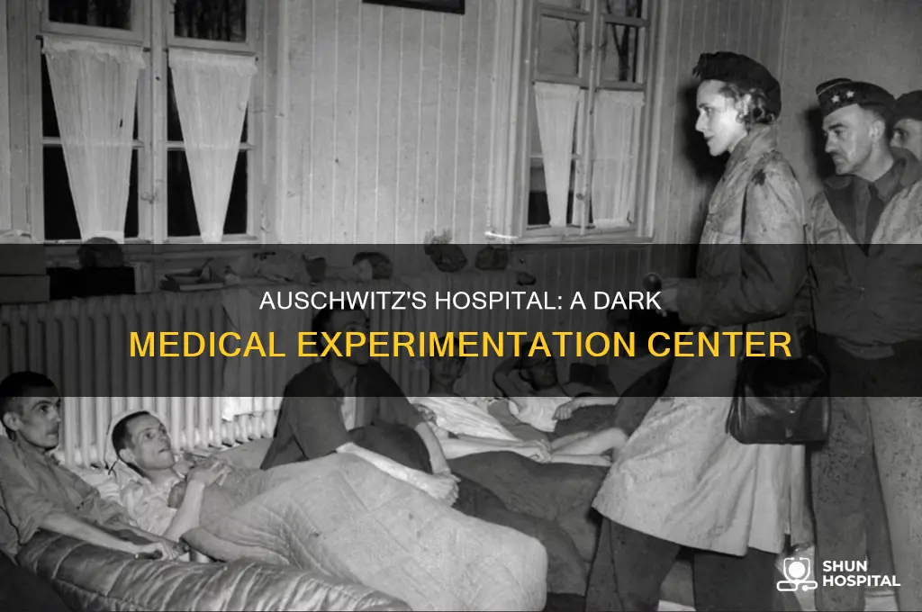 why was there a hospital at auschwitz