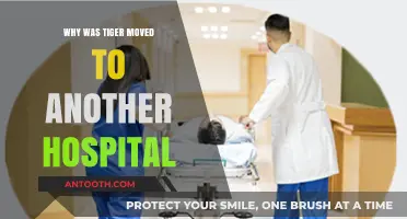 Tiger Transferred: A Medical Mystery Unveiled