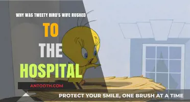 Tweety Bird's Wife Hospitalized: Unraveling the Sudden Emergency
