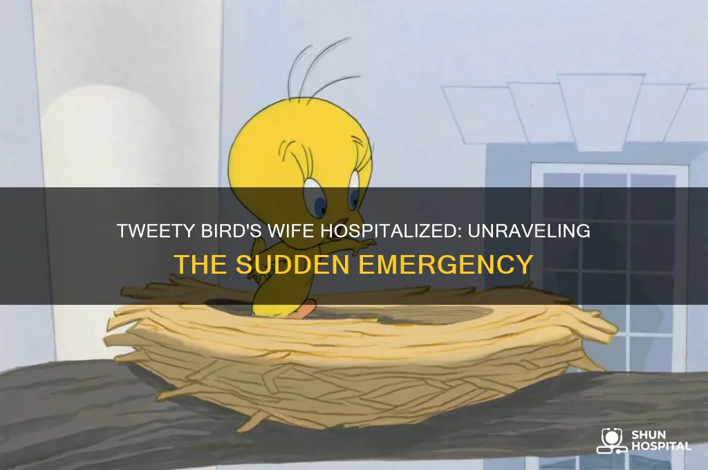 why was tweety bird