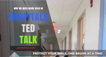 Healing Paws: Why Hospitals Need More Dogs, TED Talk Insights