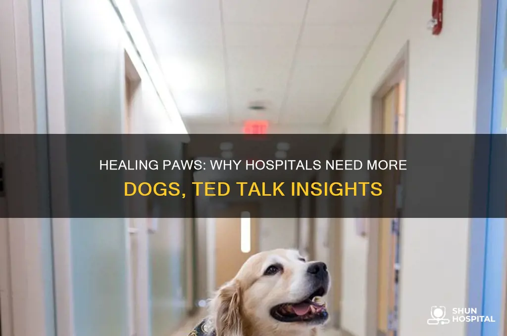 why we need more dogs in hospitals ted talk