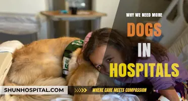 Hospitals Need Dogs: Healing Power of Pets