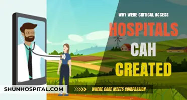 Critical Access Hospitals: Filling the Rural Healthcare Gap