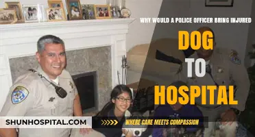 Officer's Compassion: Why Police Bring Injured Dogs to Hospitals