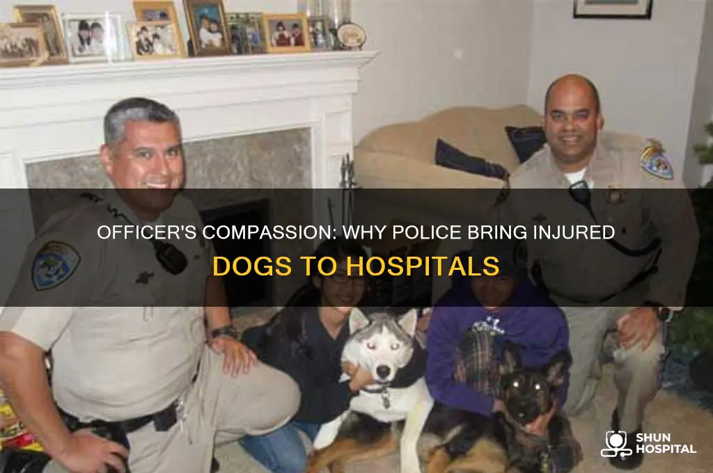 why would a police officer bring injured dog to hospital