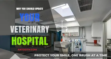 Modernizing Your Veterinary Hospital: Why It's Essential