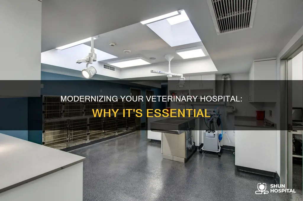 why you should update your veterinary hospital