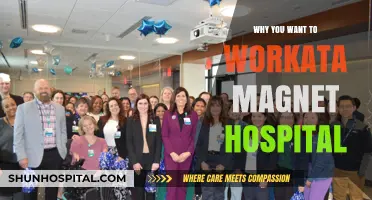 Magnet Hospitals: A Career Destination for Nurses