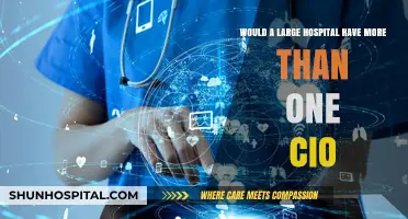 Do Large Hospitals Need Multiple CIOs for Efficient Operations?