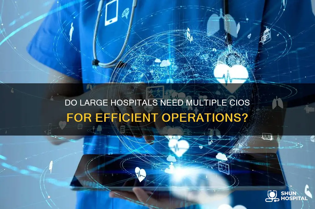 would a large hospital have more than one cio
