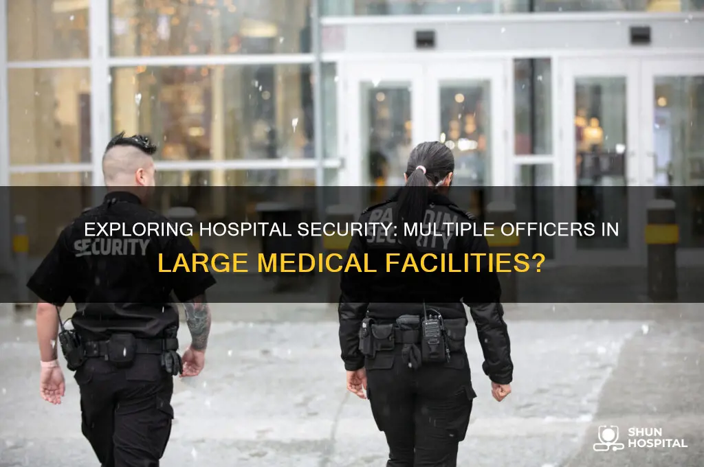 would a large hospital have more than one officer