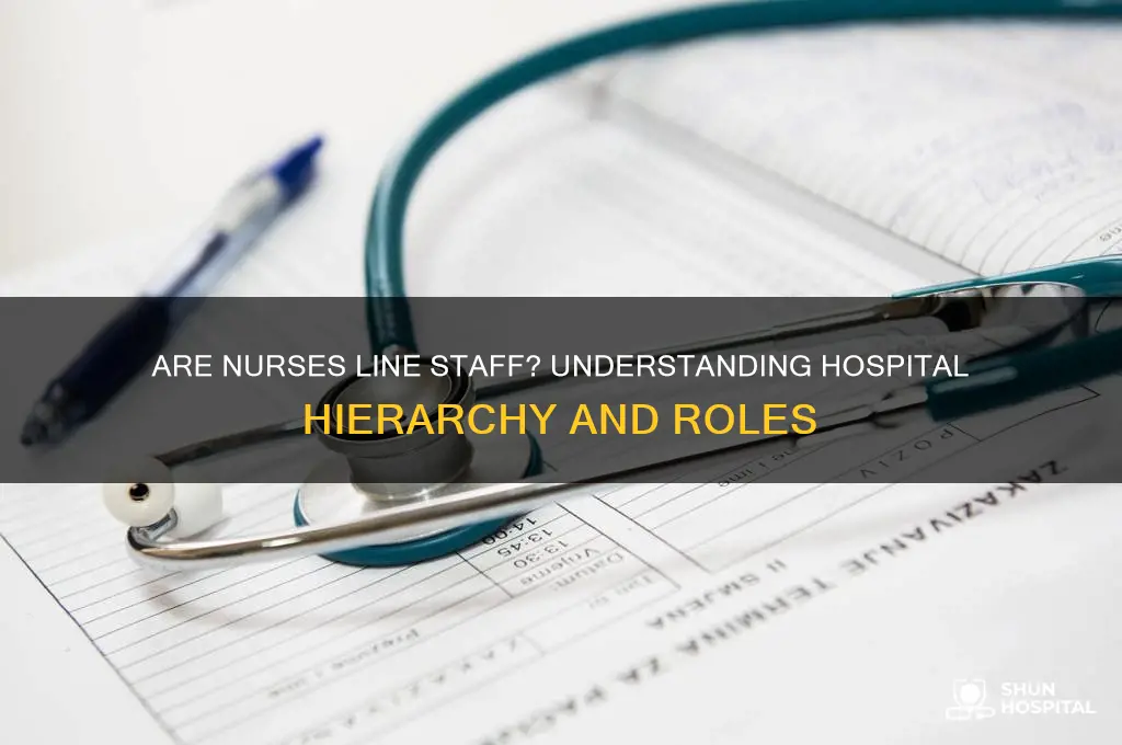 would a nurse be a line position in a hospital
