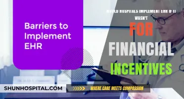 Would Hospitals Adopt EHR Without Financial Incentives? A Critical Analysis