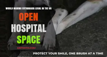 Legalizing Euthanasia in the US: A Solution to Hospital Overcrowding?