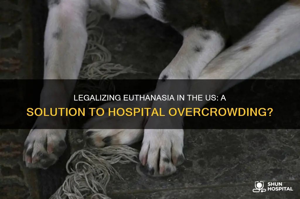 would making euthanasia legal in the us open hospital space
