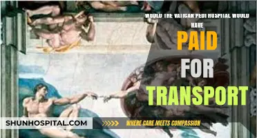 Vatican's Pediatric Hospital: Transport Costs Covered? Exploring Financial Support